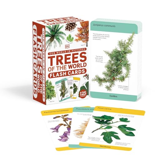 Our World in Pictures Trees of the World Flash Cards (DK Our World in Pictures) von DK Children